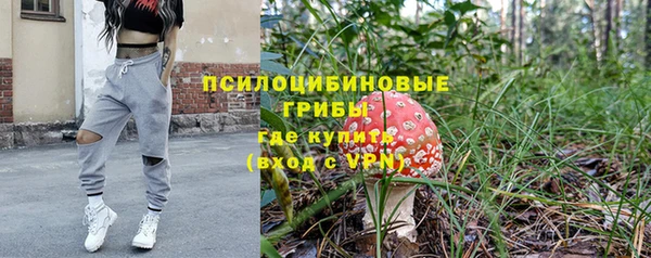 соль ск Богданович