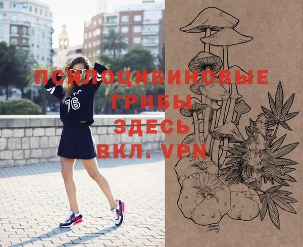 соль ск Богданович