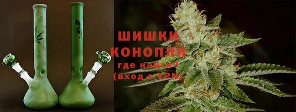 соль ск Богданович