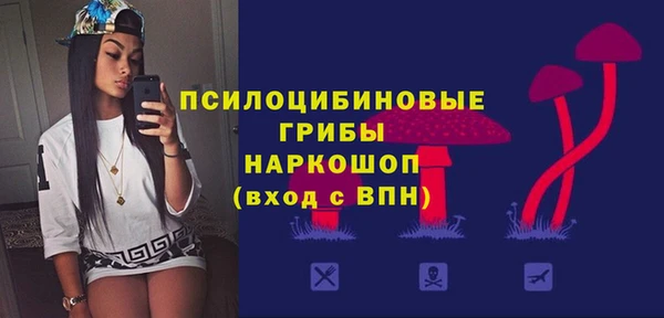 соль ск Богданович